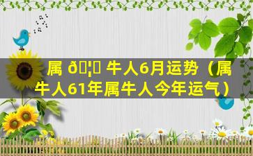 属 🦋 牛人6月运势（属牛人61年属牛人今年运气）